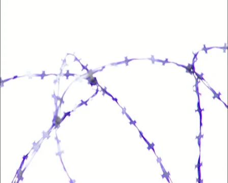 The territory of the prison. (Russian prison) Video stock 10900258