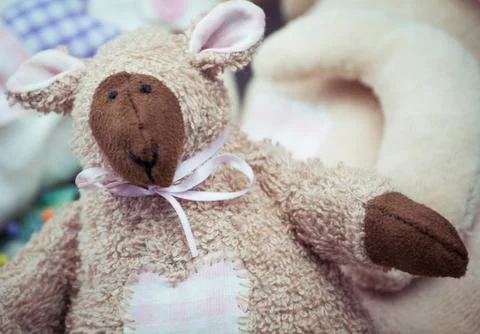 Terry the Lamb Stock Photos