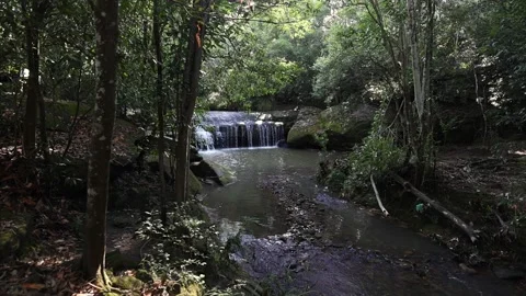 Terrys creek fall Stock Footage 231360994