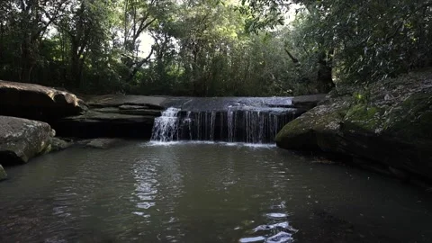 Terrys creek fall Stock Footage 231360996