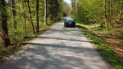 Tesla Driving In Woods 1 Stock Footage 142242437