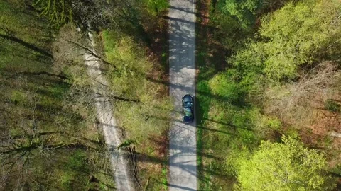 Tesla Driving In Woods 2 Stock Footage