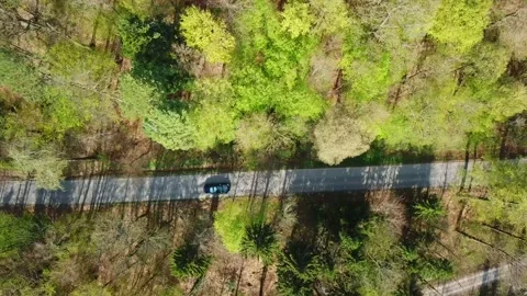 Tesla Driving In Woods 3 Stock Footage 142242400