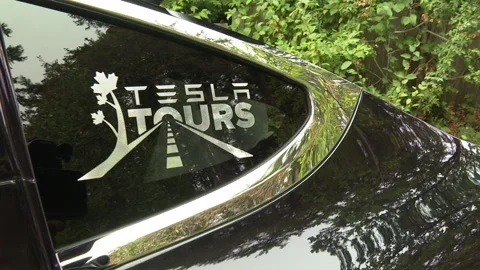 Tesla Fleet Sightseeing Also Uses Solar For Charging Stock Footage 229527356