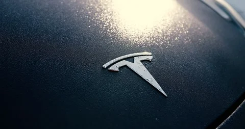 Tesla logo Stock Footage 297441517