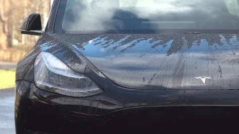 Tesla Model 3 Headlight and Hood Video stock 99249095