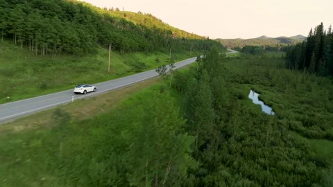 Tesla Model Y on Lush Back Road Stock Footage 202291498