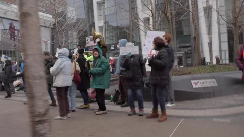 Tesla Protest - Boston, MA, US Stock Footage 306496163