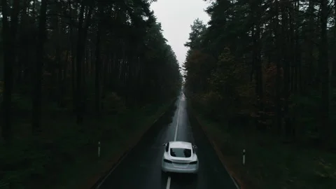 Tesla rides on a forest road Stock Footage 144583348
