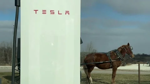 Tesla Supercharger with Amish buggy 스톡 동영상 325819600