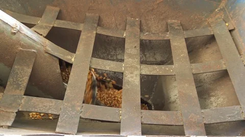 Test blender corn. Stock Footage 71640488