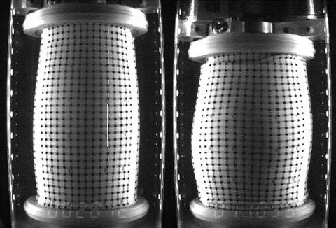 A test cell for Mechanics of Granular Materials (MGM) experiment is shown a.. Foto stock