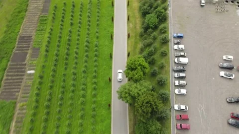 Test drive car in edem resor medical spa Stock Footage 142896761