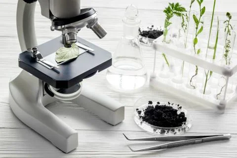 Test floral samples with microscope in biological lab Stock Photos