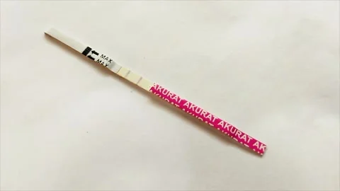 Test pack or tespek is a pregnancy test tool that is quite often used to Video stock 257457224