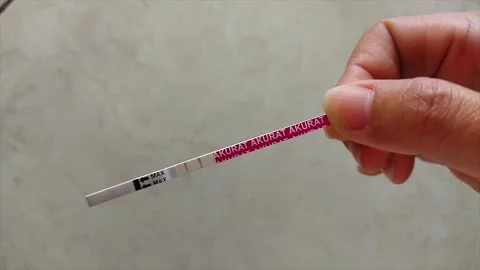 Test pack or tespek is a pregnancy test tool that is quite often used to Video stock 257457290
