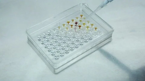Test Plate red reaction Stock Footage 94684197