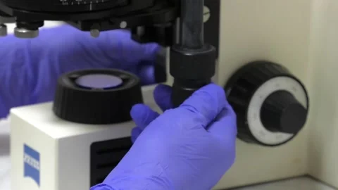 Test sample under the microscope in laboratory Stock Footage 97919121