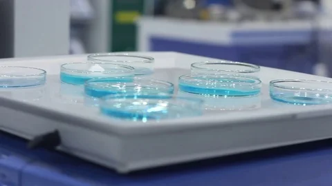 Test samples in the laboratory Stock Footage 73387487