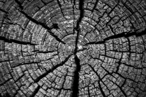 Test of time 库存照片