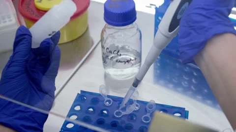 Test tube into different Eppendorf vessels. Stock Footage 166401346
