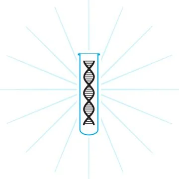 Test tube with dna inside - vector 스톡 일러스트