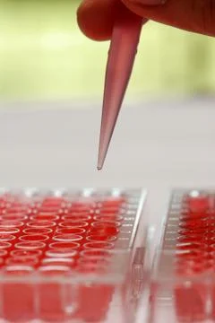 Test tube Stock Photos