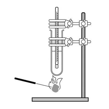 Test Tube with Stand Stock Illustration