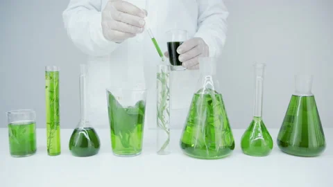 Test tubes and flasks with plants and algae.  Stock Footage 144012570