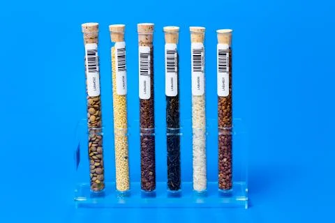 Test tubes with bar codes with seeds of selection plants Stock-Fotos