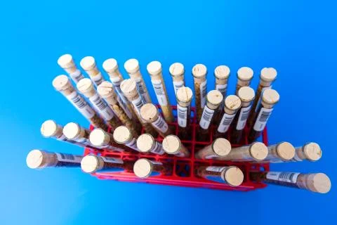 Test tubes with bar codes with seeds of selection plants Stock Photos