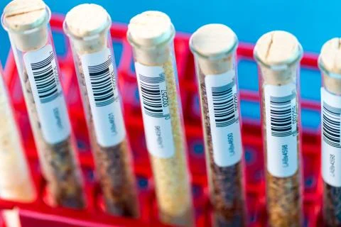 Test tubes with bar codes with seeds of selection plants Stock-Fotos
