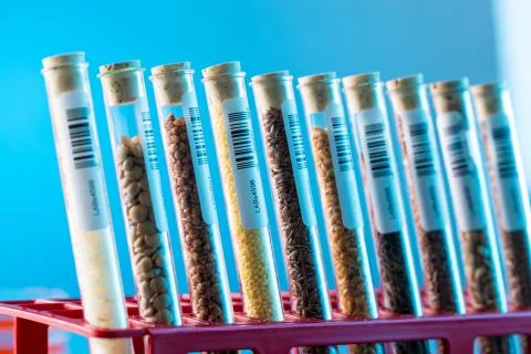 Test tubes with bar codes with seeds of selection plants Stock Photos