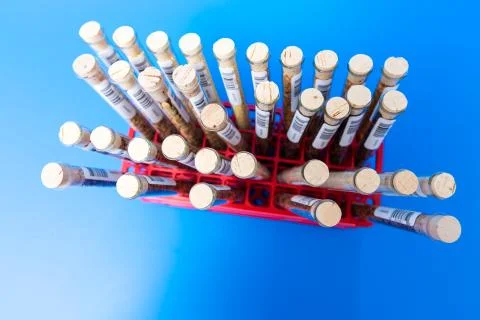 Test tubes with bar codes with seeds of selection plants Stock Photos