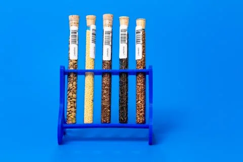 Test tubes with bar codes with seeds of selection plants Stock Photos