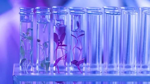 Test tubes biotechnology laboratory Stock Photos