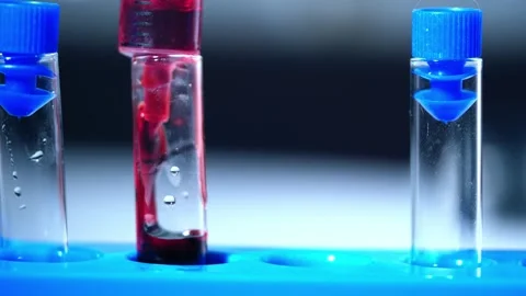 Test tubes with blood sample Stock Footage 307834172