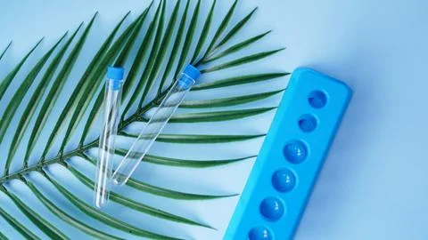 Test tubes on a blue background. Tropical leaf. Tropical disease Stock-Fotos