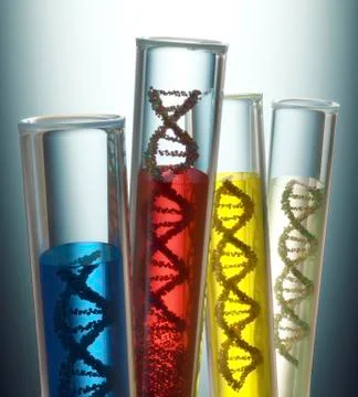 Test tubes containing DNA, illustration Stock Illustration