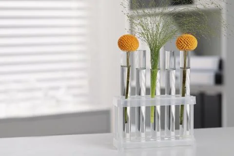 Test tubes with different plants on white table in laboratory. Space for text Stock Photos