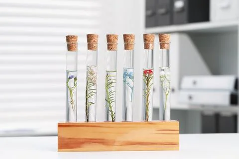 Test tubes with different plants on white table in laboratory Stock Photos