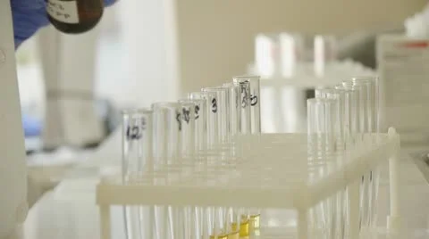 Test tubes. Drops from test stick Stock Footage 11128543