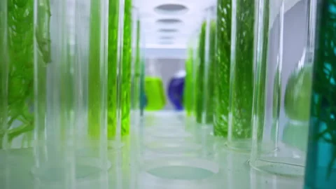 Test tubes with green plant samples and colorful chemical flasks in laboratory Stock Footage 311462197