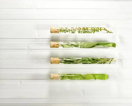 Test tubes with herbs with horizontal lines from top to bottom. Stock Photos