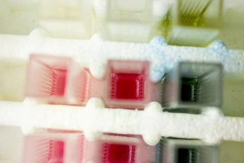 Test tubes in laboratory Foto stock