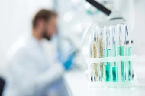 Test tubes with laboratory samples Stock Photos