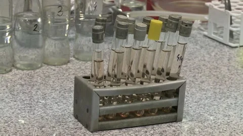 Test tubes  in a laboratory setting Stock-Footage 259199715