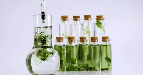 Test tubes with micro greens and reagent Chlorophyll extract poured in water Stock Footage 157454199