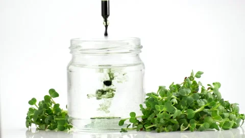 Test tubes with micro greens and reagent Chlorophyll extract poured in water Stock Footage 169720044