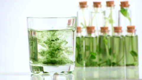 Test tubes with micro greens and reagent Chlorophyll extract poured in water Stock Footage 169720919
